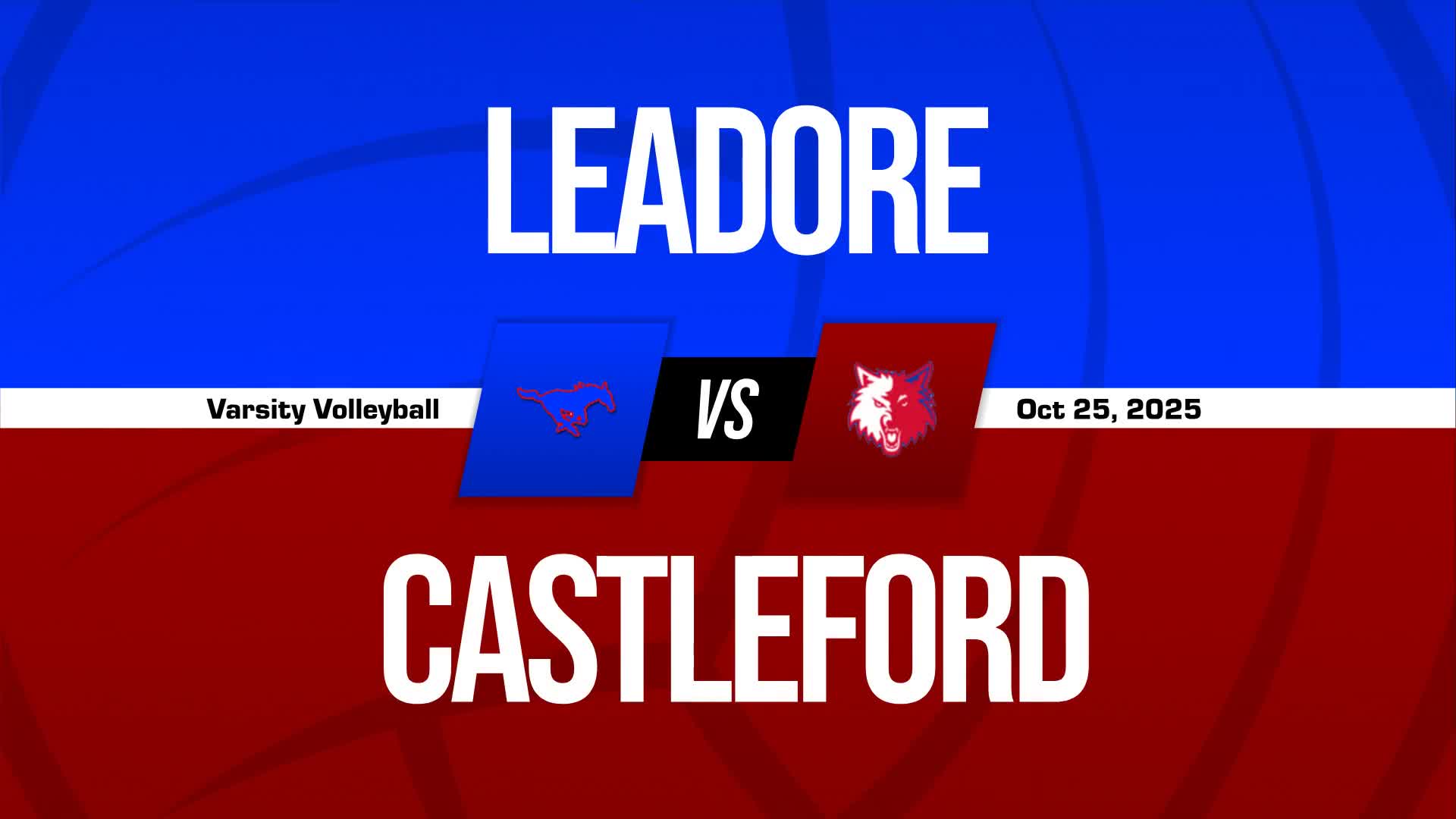 Volleyball Recap: Castleford Falls Short of Leadore in the Playoffs