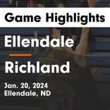 Basketball Game Recap: Ellendale Cardinals vs. Lisbon Broncos