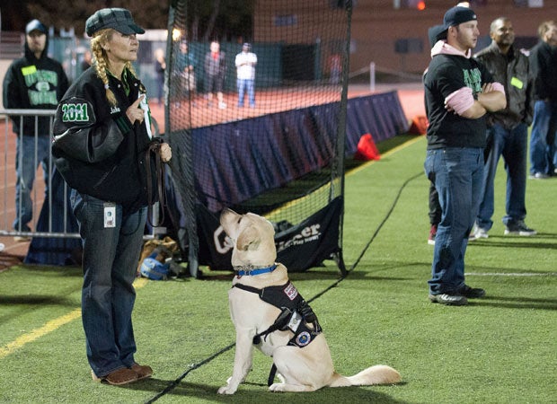 Luke's mother Lori handles Astro on a leash along the sideline.   