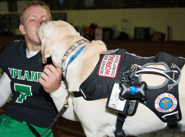Astro is one of approximately 30,000 diabetic service dogs in the country.