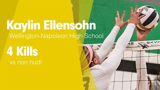 Softball Game Preview: Wellington-Napoleon Takes on Archie