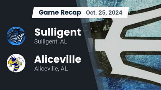 Football Recap: Sulligent Finds Playoff Glory Versus Pleasant Va