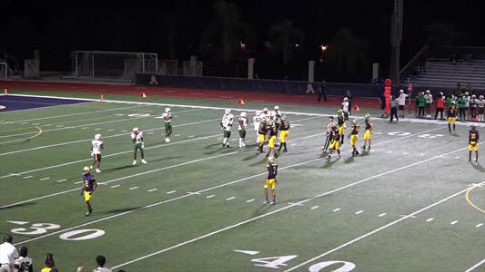 Omari Mcneal Game Report: @ Dillard