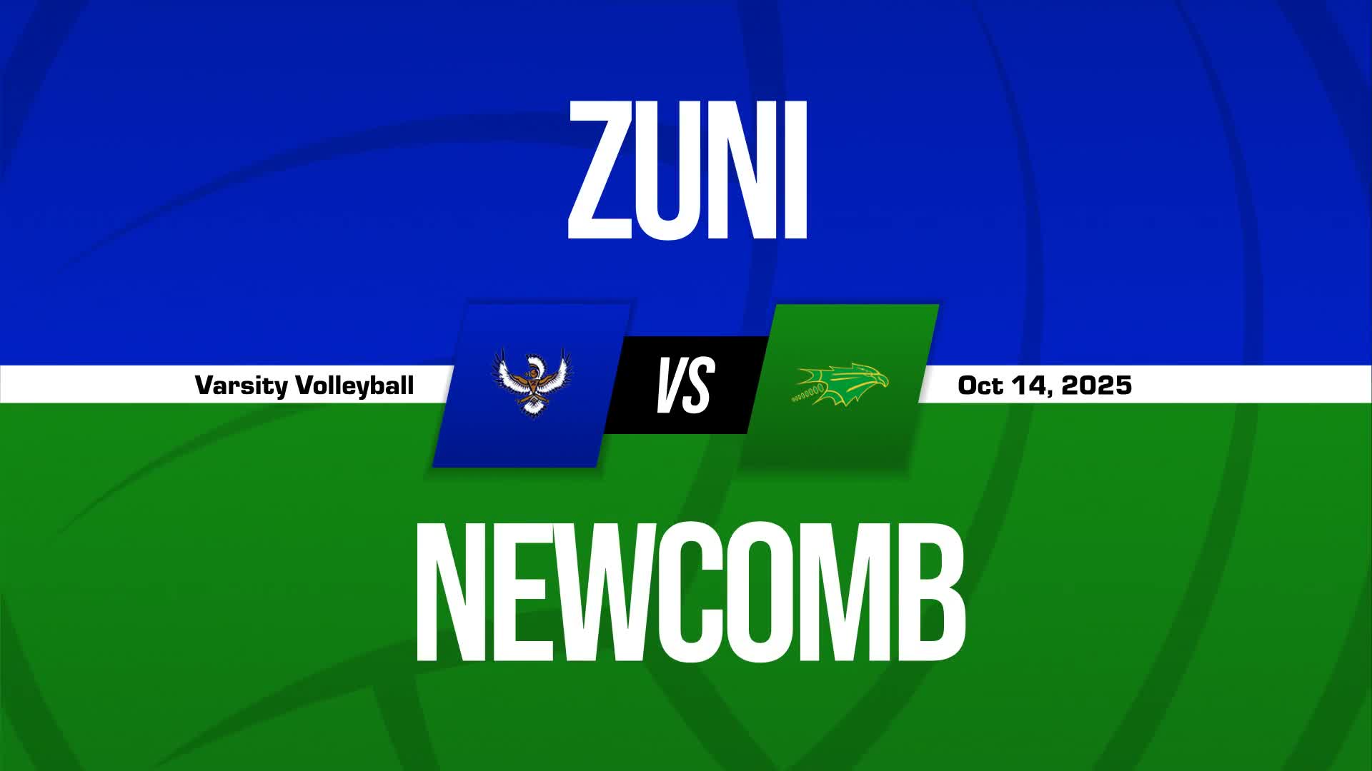 Volleyball Recap: Newcomb Comes Up Short