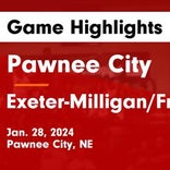 Basketball Game Preview: Pawnee City Indians vs. Palmyra Panthers
