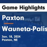 Basketball Game Recap: Wauneta-Palisade Broncos vs. Cheylin Cougars