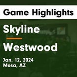 Basketball Game Recap: Westwood Warriors vs. Red Mountain Mountain Lions