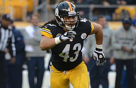Troy Polamalu of the Pittsburgh Steelers went to Douglas High (Winston).