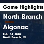 Basketball Game Preview: Richmond vs. Algonac