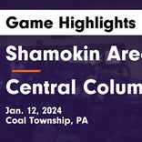 Shamokin Area extends home winning streak to ten