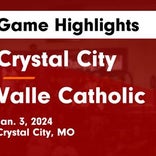 Basketball Game Recap: Crystal City Hornets vs. St. Paul Lutheran Giants