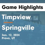Basketball Game Recap: Timpview Thunderbirds vs. Cedar Valley Aviators