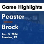 Basketball Game Recap: Peaster Greyhounds vs. Millsap Bulldogs