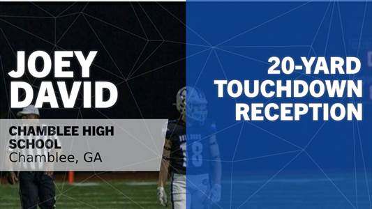 Baseball Game Preview: Chamblee Bulldogs vs. Dunwoody Wildcats