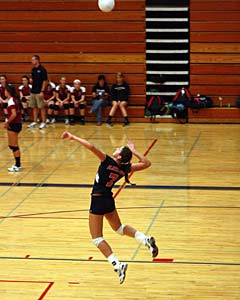 Carlini will play volleyball for Wisconsin
next year.