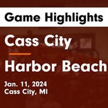 Harbor Beach vs. Vassar