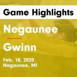Basketball Game Recap: Negaunee vs. Westwood