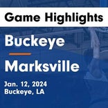 Basketball Game Recap: Marksville Tigers vs. Winnfield Tigers