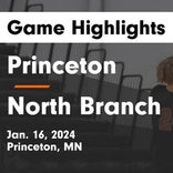 Basketball Game Recap: Princeton Tigers vs. Becker Bulldogs