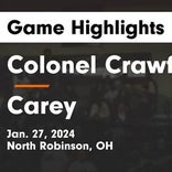 Riley Yost leads Carey to victory over Upper Sandusky