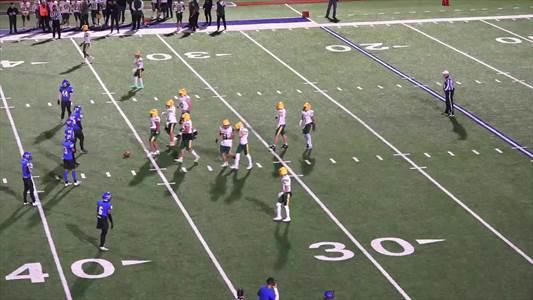 Baseball Game Preview: South Cougars vs. Goddard Lions