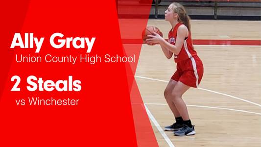 Softball Recap: Annalea Adams can't quite lead Union County over Connersville