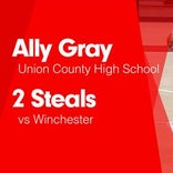 Softball Recap: Annalea Adams can't quite lead Union County over Connersville