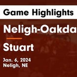 Neligh-Oakdale vs. West Holt