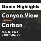 Carbon vs. Juab