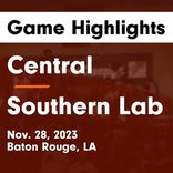 Southern Lab vs. Rayne