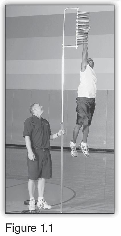 vertical leap test
