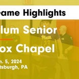 Plum vs. Fox Chapel