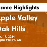 Basketball Game Recap: Apple Valley Sun Devils vs. Hesperia Scorpions
