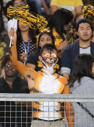Edison Tigers' fans are fanatical.