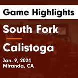 Calistoga's loss ends five-game winning streak at home