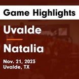 Basketball Game Preview: Uvalde Coyotes/Lobos (for girls) vs. Devine Warhorses