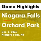 Basketball Game Recap: Niagara Falls Wolverines vs. Orchard Park Quakers