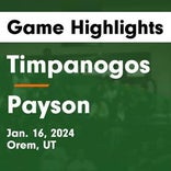 Basketball Game Preview: Timpanogos Timberwolves vs. Orem Tigers