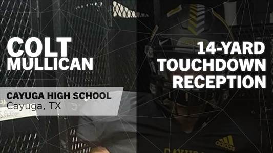 Baseball Game Preview: Cayuga Wildcats vs. Mildred Eagles