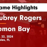 Lemon Bay finds playoff glory versus Estero