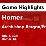 Basketball Game Preview: Homer Knights vs. Pender Pendragons