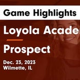 Basketball Game Preview: Prospect Knights vs. Lockport Porters