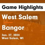 Basketball Game Preview: West Salem Panthers vs. Tomah Timberwolves