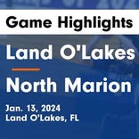 Basketball Game Recap: Land O' Lakes Gators vs. East Lake Eagles