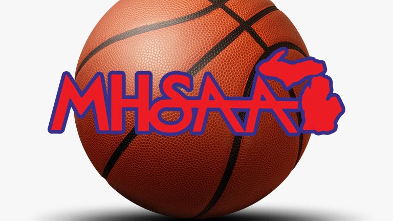 Michigan girls basketball stats leaders
