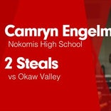 Softball Recap: Camryn Engelman can't quite lead Nokomis over Li
