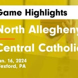 North Allegheny vs. Shaler Area