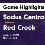 Basketball Game Preview: Sodus Spartans vs. Gananda Central Blue Panthers