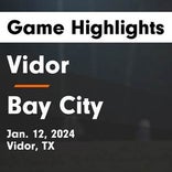 Soccer Game Preview: Vidor vs. Bridge City