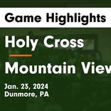 Holy Cross finds playoff glory versus Wyalusing Valley